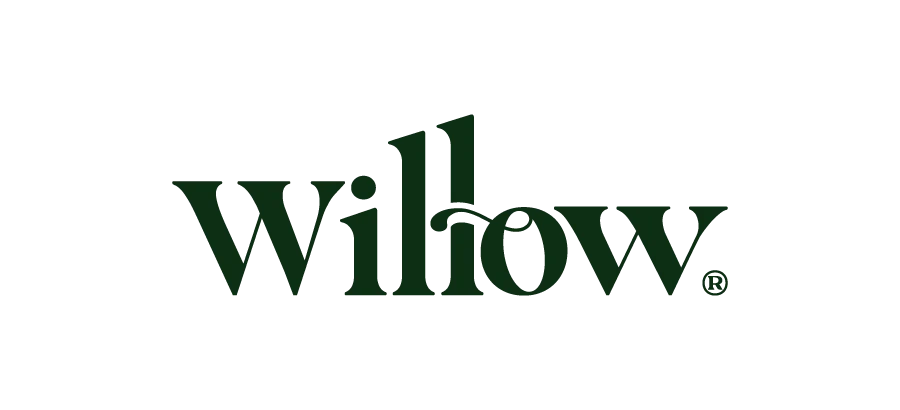 Willow Academy